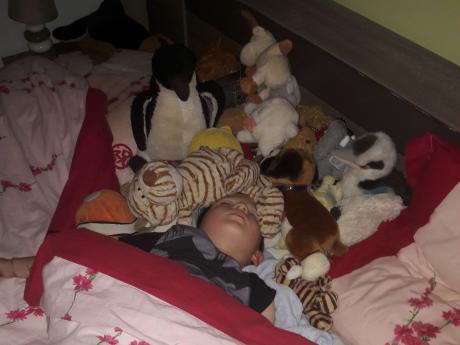 Au milieu des peluches