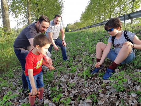 Cueillette des asperges Cueillette des asperges