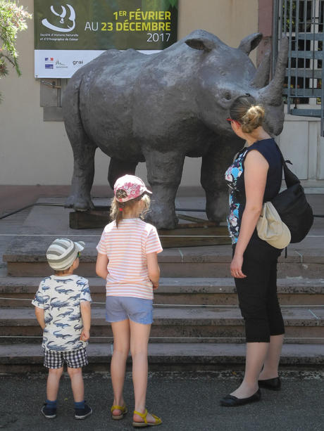 Rencontre avec un rhino
