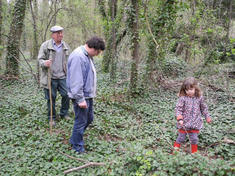 A la recherche de Morilles