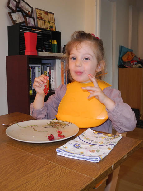 C'est bon les groseilles