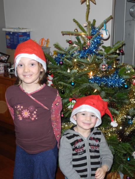 Sapin de cette année