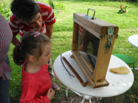 Le monde des abeilles