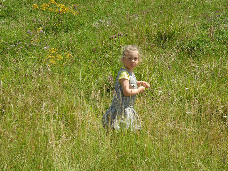 Au milieu des herbes