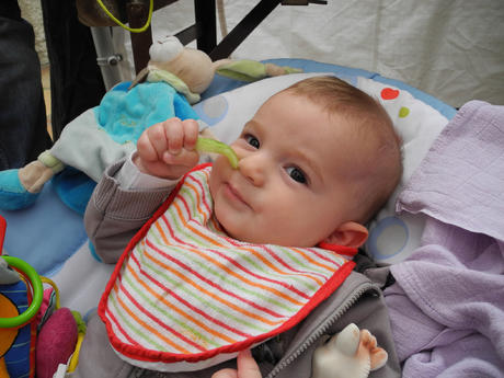 Le concombre c'est frais !