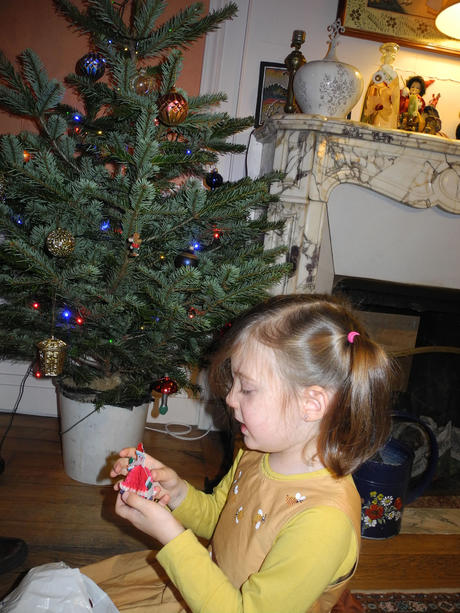 Décoration du sapin de Papou Décoration du sapin de Papou