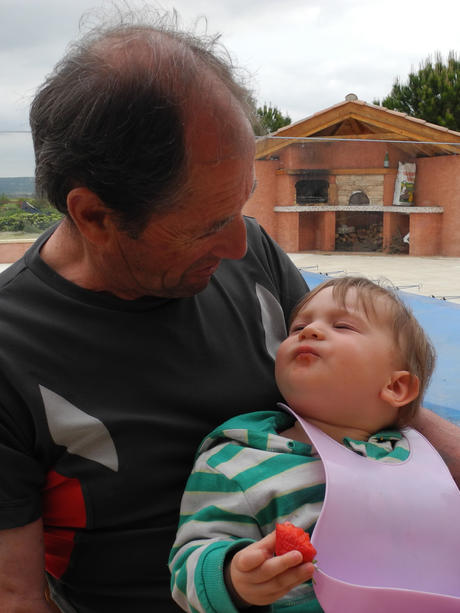 Les fraises, c'est bon ! Les fraises, c'est bon !