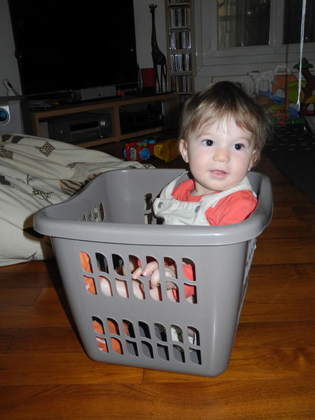 Dans la panière Dans la panière