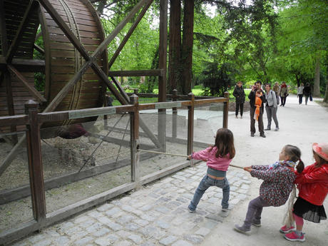 La roue à écureuil