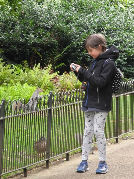 Ecureuils de très près