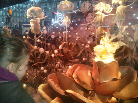 Vitrines de Noël