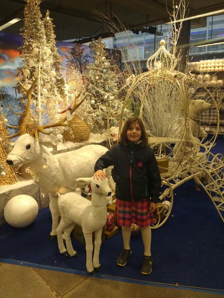 Décorations de Noël à Truffaut