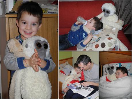 Kaya, la mascotte de ma classe