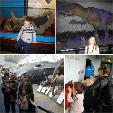 Visite du Natural History Museum