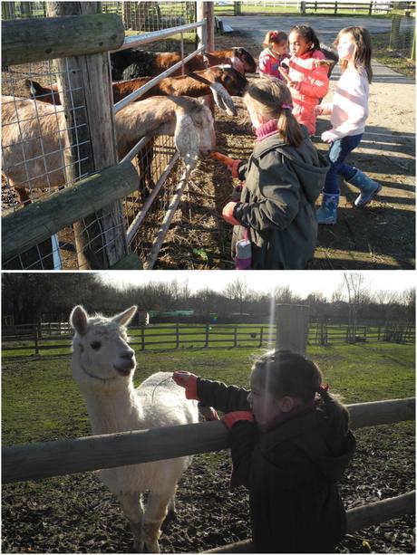 Mudchute Park and Farm