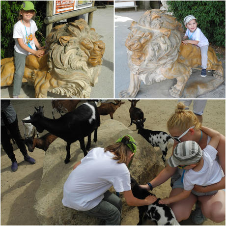 Sortie au parc des félins
