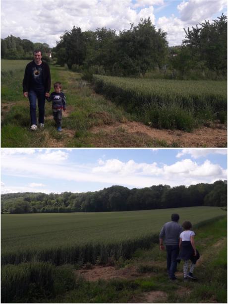 Promenade à la campagne Promenade à la campagne
